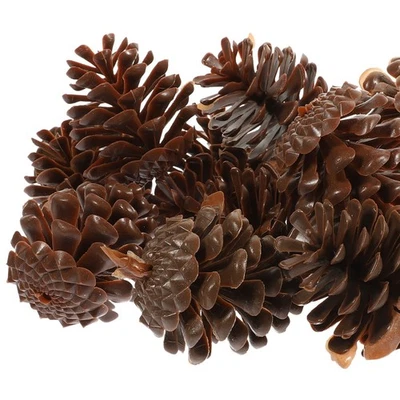 30pcs en plastique Pine Cone artificiel Pine Cône Decorative Pine Cone de Noël - Photo 1/4