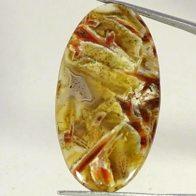 Piedra preciosa cabujón ovalado ágata palo turco natural 29,60 quilates 22X41X4 mm Foto 1 de 4