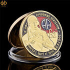 1944.6.6 USA Gold Military 82nd Airborne Division Challenge Souvenir Coin