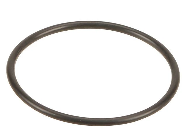 Water Pump O-Ring For 1992-1993 Mercedes 600SEL CX721KS Foto 1 de 1