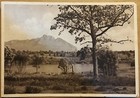 Sabaudia (Littoria). Il Circeo visto dal Parco Comunale.