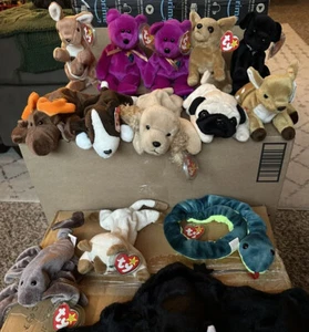 Beanie Babies Hissy, Snip, Stinger, Whisper, Pugsly, Spunky, Millenium - Picture 1 of 3