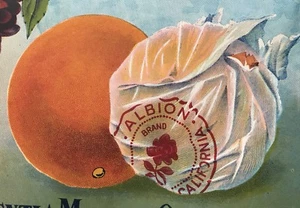 Albion Valencias Placentia California Vintage Orange Crate Label Original - Picture 1 of 10