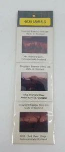 Set Of 3 Vintage Slides Braemar Films Ltd. Made In Scotland Animals 4635 - Picture 1 of 5