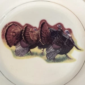 National Wild Turkey Federation Super White Fine Porcelain China Set of 3 Plates - Picture 1 of 8