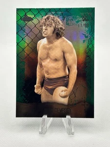 2025 Topps Chrome Cactus Jack WWE CHARLIE DEMPSEY Astro Knights Green /99 - Picture 1 of 2