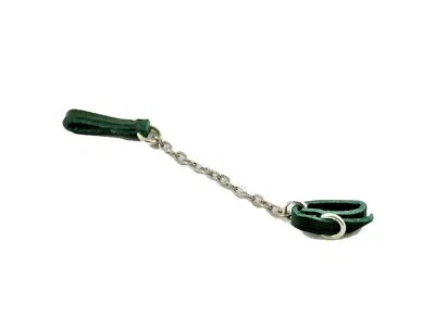 Casa Delle Bambole Verde Cane E Cavo Guinzaglio Mano Fatto Miniatura Accessorio - Immagine 1 di 4