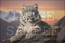 Digital Image Picture Wallpaper Background Digital AI Snow Leopard Mountain