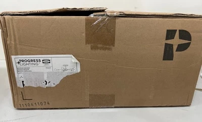 Progress Lighting Delayne 16 in. 5-Light Brushed Bronze Semi-Flush Mount - Image 1 of 3