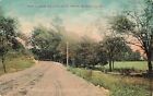 Vintage 1911 Postcard Main Road Curve Bushkill Pennsylvania color nature trees