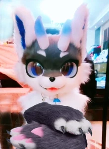 Fursuit Husky Fox Mascot (head + PAWS) Halloween Party Fur Cosplay 98# - Picture 1 of 5