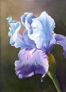 IRIS TEARS 8X10 FLOWER print by Artist Sherry Shipley - Picture 1 of 1