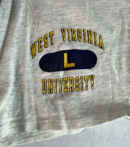 Vintage Champion Shorts West Virginia NCAA Basketball USA 90s Gray Mens XL Cover