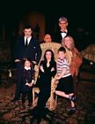 380351 The Addams Family Cast John Astin Carolyn Jones WALL PRINT POSTER UK
