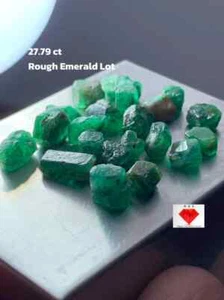 27.79ct Rough Emerald Lot: Tiny Natural Crystals with Bright Color - Picture 1 of 8