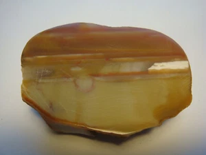 Agate polished rough Mineral Specimen From Agate Creek Qld 98 grams - Picture 1 of 5