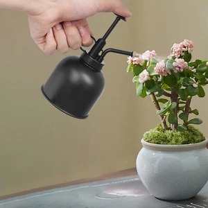 Plant Mister Spray Bottles For Indoor Plants Watering Stainless Steel Gardening - Picture 1 of 16