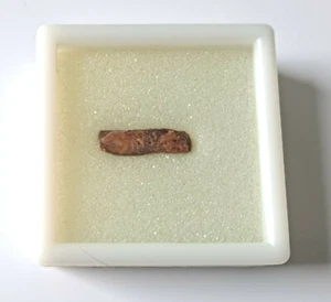 Estate Find Brown Kyanite Rough Gemstone, Nepal - Picture 1 of 3