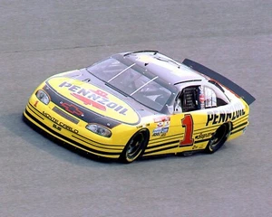 1998 Steve Park at Daytona  - 8x10 photo - Picture 1 of 1