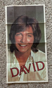 Póster vintage 1971 Topps The Partridge Family David Cassidy 18" x 9,5" - Imagen 1 de 3