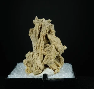 Thinolith / Mono Lake, Kalifornien / Thumbnail Mineral Specimen - Bild 1 von 4