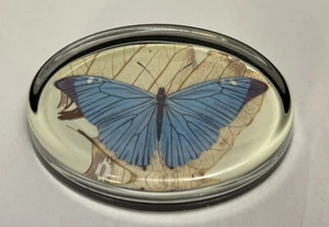 Accesorio de escritorio pisapapeles acrílico Lucite vintage acuarela mariposa botánico - Imagen 1 de 11