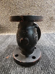 FNW FIG 671B 2 in. Cast Iron 125# Flanged IBBM Swing Check Valve - Picture 1 of 10