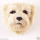 (1) NORFOLK TERRIER DOG MAGNET! Very realistic collectible fur like Magnets.