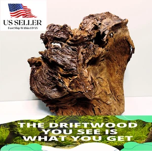 NATURAL MANGROVE DRIFTWOOD #318 WYSIWYG - AQUASCAPING, SUPER PRICE!! DECORATION - Picture 1 of 8