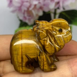 TOP 1.5” Natural Tiger's eye quartz elephant hand carved crystal healing 1PC - Imagen 1 de 8