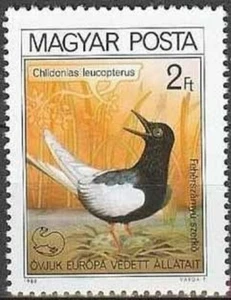 HUNGARY -1980-Nature Conservation Bird - White-winged Tern - MNH - Scott #2662 - Picture 1 of 1