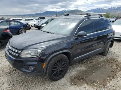 BLK DECKLID TAILGATE 2012-2017 VOLKSWAGEN TIGUAN Foto 1 de 4