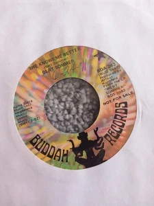Bert Sommer She Knows Me Better 7' Vinyl Budda Records U.S Promo BDA243. - Bild 1 von 2