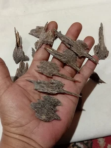 Agarwood Oud From West Kalimantan 20 Grams By Oudandherbs - Picture 1 of 3