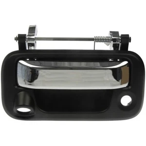 81077 Dorman Tailgate Handle for F150 Truck Ford F-150 Lincoln Mark LT 2008 - Picture 1 of 3