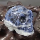 Hand Carved Skull Natural Crystal Healing Gemstone Realistic Carving Collectible