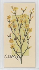 1977 Carreras Craven Black Cat Flowers All the Year Round Tobacco #46 2p7