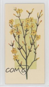 1977 Carreras Craven Black Cat Flowers All the Year Round Tobacco #46 2p7