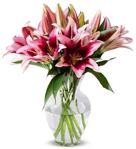 Benchmark Bouquets - 8 Stem Pink Oriental Lilies Glass Vase Included - Fresh - Picture 1 of 7