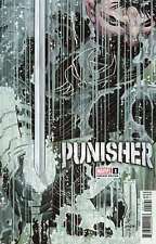 Punisher (13th Series) #1H VF/NM; Marvel | 1:25 variant John Romita Jr - we comb