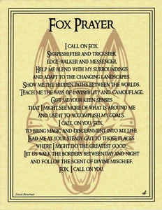 FOX PRAYER Animal Spirit -BOOK OF SHADOWS- Page Poster NATIVE Celtic Wicca - Picture 1 of 6
