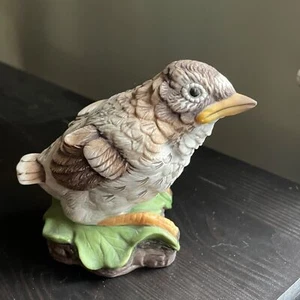Figura vintage de pájaro porcelana Boehm madera bebé zorzal porcelana de 4 - Imagen 1 de 3