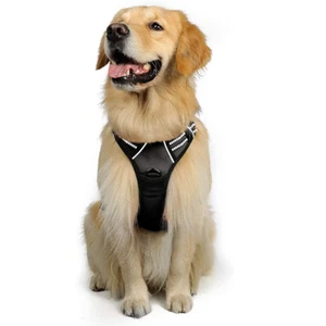 rabbitgoo No-Pull Pet Dog Harness with Handle Adjustable Reflective Padded Vest - Picture 1 of 30