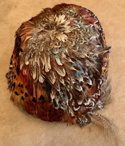 Feather Vintage Brown Pheasant cloche hat women Fashion multicolor derby - Picture 1 of 7