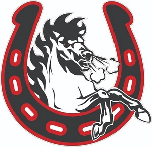Calcomanías de casco de fútbol americano tamaño completo CFL Stampeders Atl - Imagen 1 de 2