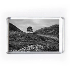 SYCAMORE GAP fridge magnet Northumberland , Hadrian's Wall souvenir. Newcastle - Picture 1 of 2