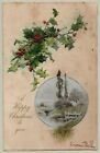Postcard Catherine Klein a/s Christmas Holly, 1905 Undivided Back Antique A1