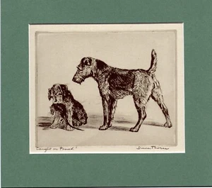 ~ Welsh Terrier ~ Caught or Found? Print by Diana Thorne Genuine Vintage 1935 - Picture 1 of 2