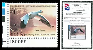 Scott RW55 1988 $10.00 Duck Stamp Mint Graded XF-Sup 95 NH with PSE CERT - Picture 1 of 1