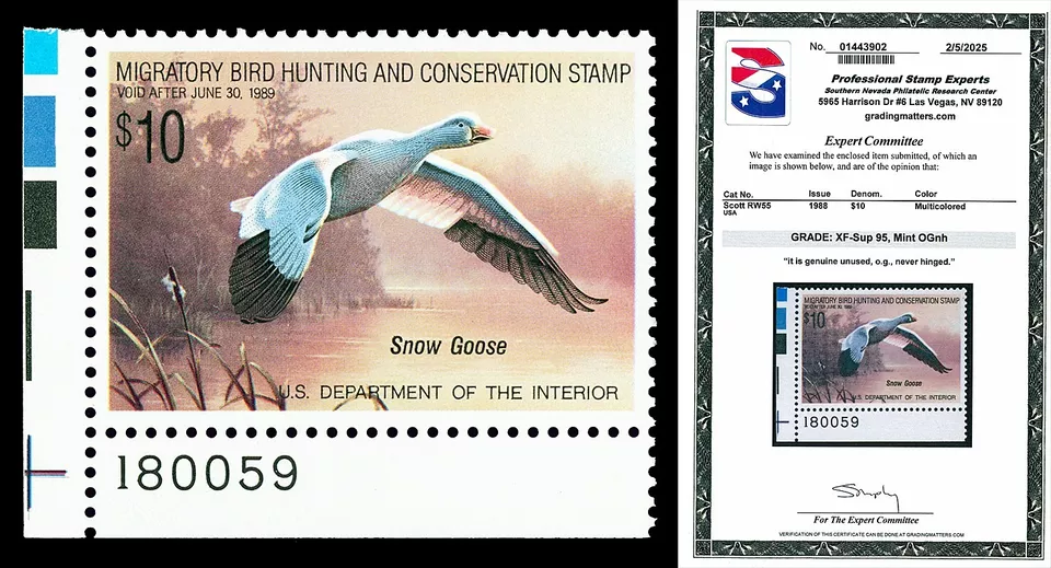 Scott RW55 1988 $10.00 Duck Stamp Mint Graded XF-Sup 95 NH with PSE CERT - Image 1 of 1